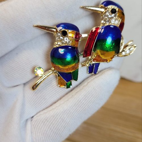 Gökkuşağı mineli sinek kuşu ailesi broş