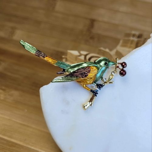 Kokina taşıyan sarı yeşil el boyama saka kuşu broş